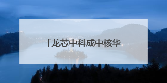 龙芯中科成中核华辉达国产芯片唯一合作伙伴，将基于龙芯系列正向适配