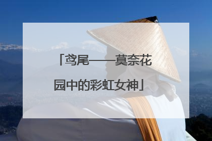 鸢尾——莫奈花园中的彩虹女神
