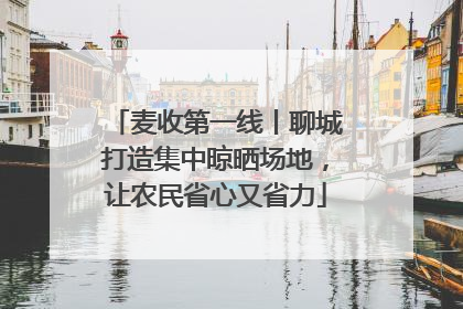 麦收第一线丨聊城打造集中晾晒场地，让农民省心又省力
