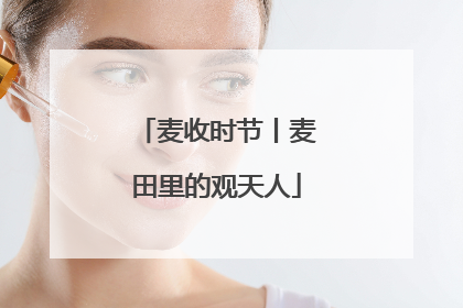 麦收时节丨麦田里的观天人