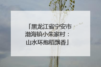 黑龙江省宁安市渤海镇小朱家村：山水环抱稻飘香