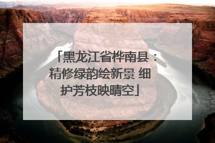 黑龙江省桦南县：精修绿韵绘新景 细护芳枝映晴空