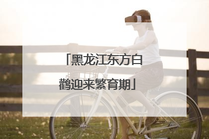 黑龙江东方白鹳迎来繁育期