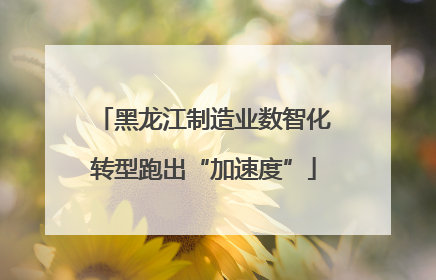 黑龙江制造业数智化转型跑出“加速度”