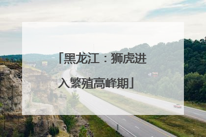 黑龙江：狮虎进入繁殖高峰期