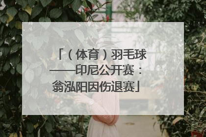 （体育）羽毛球——印尼公开赛：翁泓阳因伤退赛