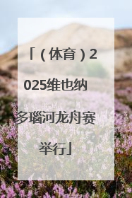 （体育）2025维也纳多瑙河龙舟赛举行