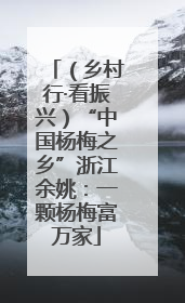 （乡村行·看振兴）“中国杨梅之乡”浙江余姚：一颗杨梅富万家