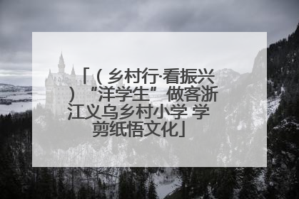 （乡村行·看振兴）“洋学生”做客浙江义乌乡村小学 学剪纸悟文化
