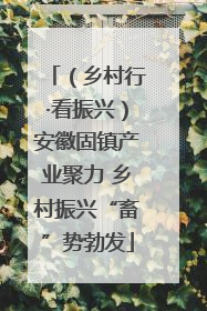 （乡村行·看振兴）安徽固镇产业聚力 乡村振兴“畜”势勃发
