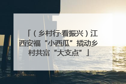 （乡村行·看振兴）江西安福“小西瓜”撬动乡村共富“大支点”