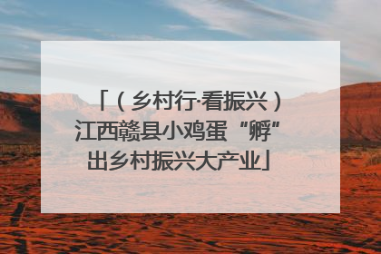 （乡村行·看振兴）江西赣县小鸡蛋“孵”出乡村振兴大产业
