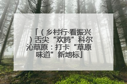 （乡村行·看振兴）舌尖“欢腾”科尔沁草原：打卡“草原味道”新地标