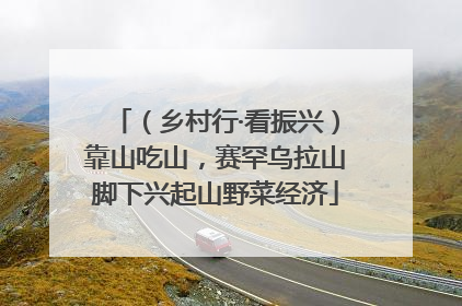 （乡村行·看振兴）靠山吃山，赛罕乌拉山脚下兴起山野菜经济