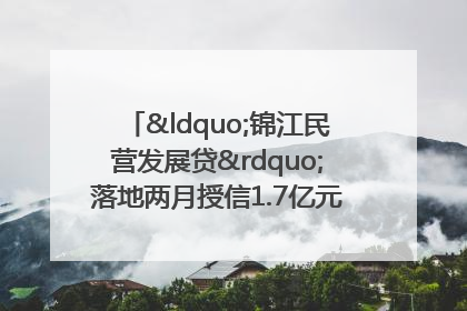 “锦江民营发展贷”落地两月授信1.7亿元，惠及118家民企