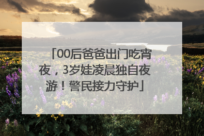00后爸爸出门吃宵夜，3岁娃凌晨独自夜游！警民接力守护