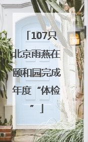 107只北京雨燕在颐和园完成年度“体检”