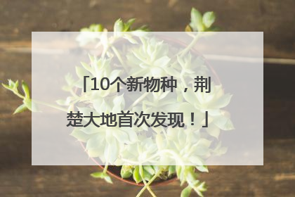 10个新物种，荆楚大地首次发现！
