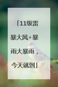 11级雷暴大风+暴雨大暴雨，今天就到