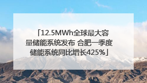 12.5MWh全球最大容量储能系统发布 合肥一季度储能系统同比增长425%