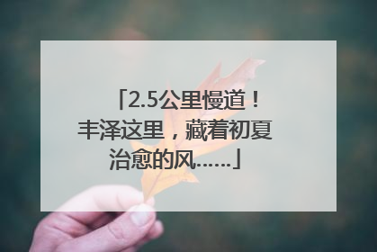 2.5公里慢道！丰泽这里，藏着初夏治愈的风……