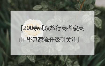 200余武汉旅行商考察英山 毕昇漂流升级引关注