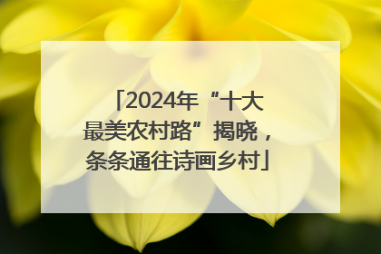 2024年“十大最美农村路”揭晓，条条通往诗画乡村