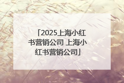 2025上海小红书营销公司 上海小红书营销公司