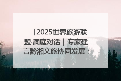 2025世界旅游联盟·洞庭对话｜专家建言黔湘文旅协同发展：聚焦产品稀缺性 深化区域经验共享