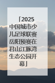 2025中国城市少儿足球联赛岳阳预赛在君山江豚湾生态公园开幕