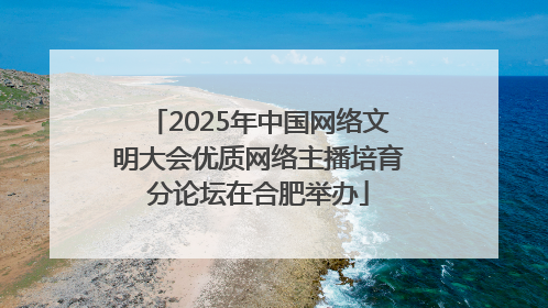 2025年中国网络文明大会优质网络主播培育分论坛在合肥举办