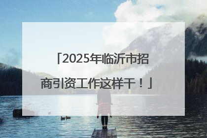 2025年临沂市招商引资工作这样干！
