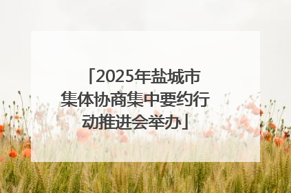 2025年盐城市集体协商集中要约行动推进会举办