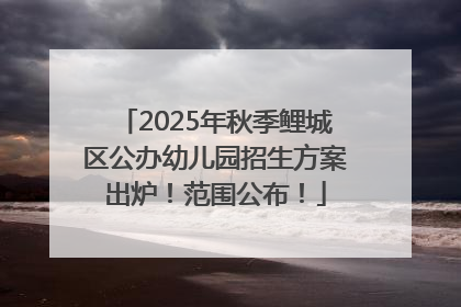 2025年秋季鲤城区公办幼儿园招生方案出炉！范围公布！