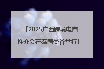 2025广西跨境电商推介会在泰国曼谷举行