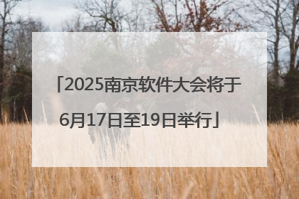 2025南京软件大会将于6月17日至19日举行