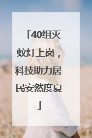 40组灭蚊灯上岗，科技助力居民安然度夏