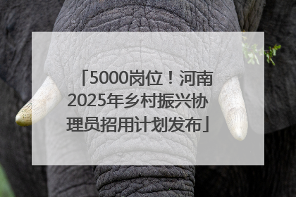 5000岗位！河南2025年乡村振兴协理员招用计划发布