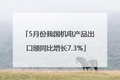 5月份我国机电产品出口额同比增长7.3%