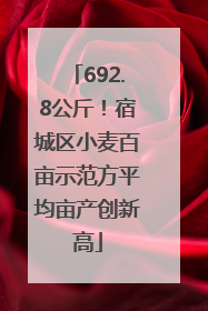 692.8公斤！宿城区小麦百亩示范方平均亩产创新高