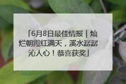 6月8日最佳情报｜灿烂朝霞红满天，溪水潺潺沁人心！恭喜获奖