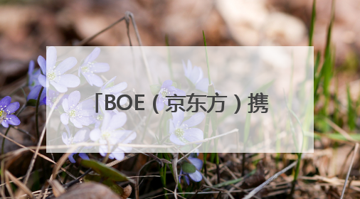 BOE（京东方）携钙钛矿、新能源产品及解决方案亮相2025 SNEC 科技创新赋能行业绿色发展