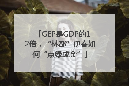 GEP是GDP的12倍，“林都”伊春如何“点绿成金”