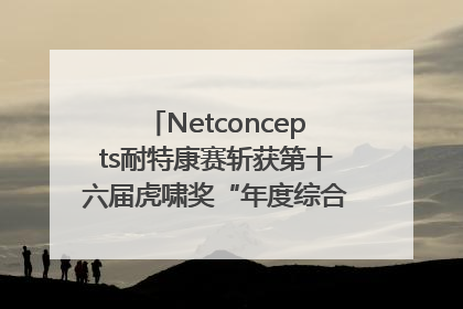 Netconcepts耐特康赛斩获第十六届虎啸奖“年度综合服务商”大奖