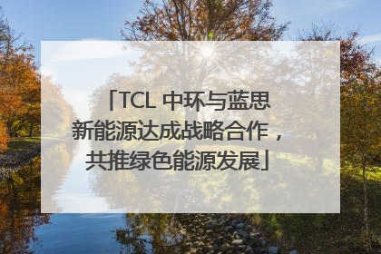 TCL 中环与蓝思新能源达成战略合作，共推绿色能源发展